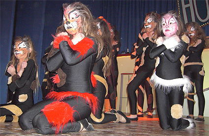 Bühnenschminken Katzen
